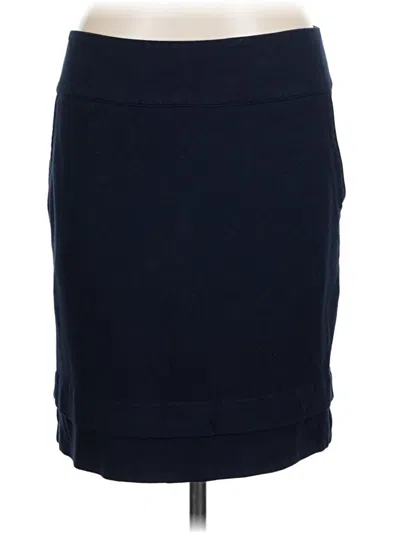 Pre-owned Cabi Casual Skirt In Blue