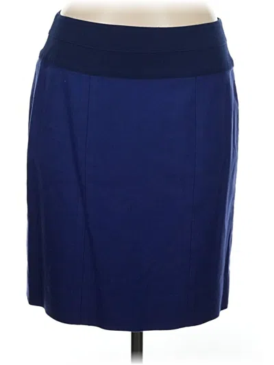 Pre-owned Cabi Casual Skirt In Blue