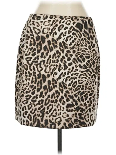 Pre-owned Cabi Casual Skirt In Brown