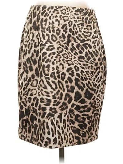 Pre-owned Cabi Casual Skirt In Brown