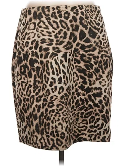Pre-owned Cabi Casual Skirt In Brown
