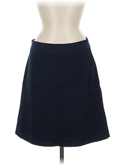 Pre-owned Cabi Formal Skirt In Blue