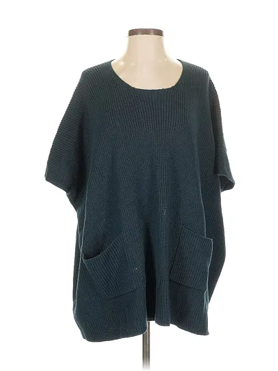 Pre-owned Cabi Pullover Sweater In Blue