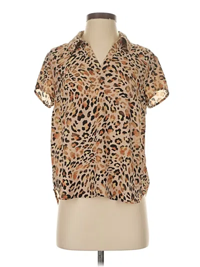 Pre-owned Cabi Short Sleeve Blouse In Brown