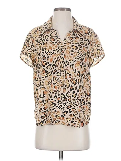 Pre-owned Cabi Short Sleeve Polo Shirt In Brown