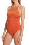 CACHE COEUR BRISBANE ONE-PIECE MATERNITY SWIMSUIT