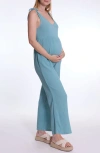 Cache Coeur Canyon Maternity And Nursing Jumpsuit In Blue