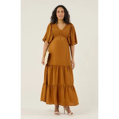 Cache Coeur Claudette Maternity Maxi Dress In Brown