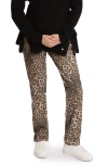 Cache Coeur Leopard Print Maternity Mom Jeans In Leopard