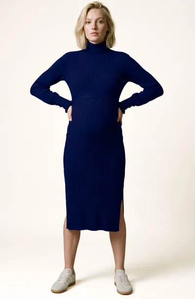 Cache Coeur Maternity And Nursing Dress Adriana In Blue