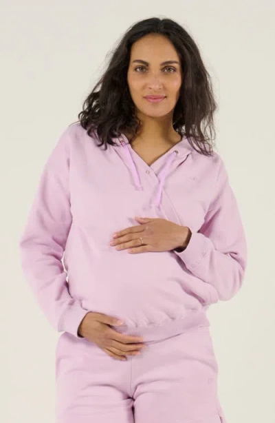 Cache Coeur Maternity And Nursing Hoodie Coconut In Purple