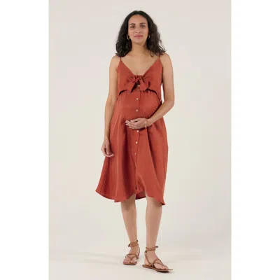 Cache Coeur Maternity And Nursing Knot Dress Nolwenn In Brown