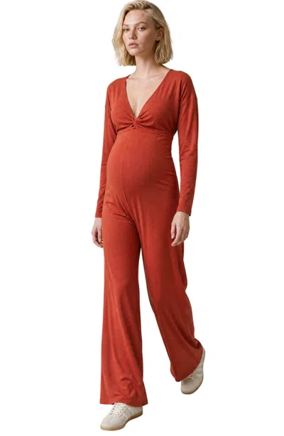 Cache Coeur Maternity & Nursing Long Sleeve Jumpsuit Valentina In Brown