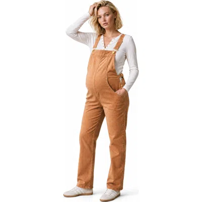 Cache Coeur Maternity & Nursing Overall Andy In Brown