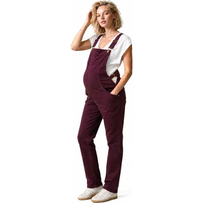 Cache Coeur Maternity & Nursing Overall Andy In Purple