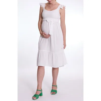 Cache Coeur Melody Maternity And Nursing Dress In White