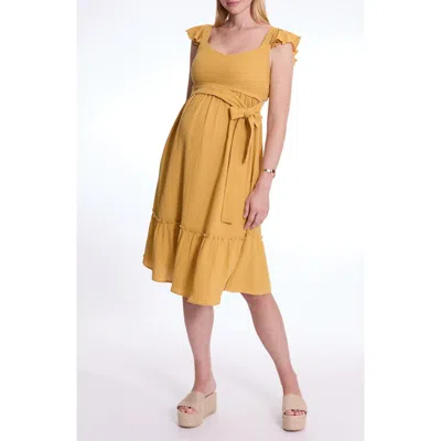 Cache Coeur Melody Maternity And Nursing Dress In Yellow