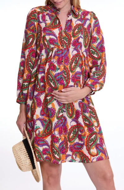 Cache Coeur Soledad Long Sleeve Maternity/nursing Dress In Paisley Mutli