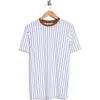 Cactus Man Stripe Crewneck T-shirt In Multi