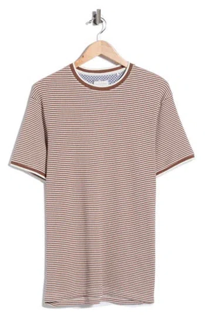 Cactus Man White Tip Short Sleeve T-shirt In Brown