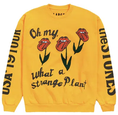 Pre-owned Cactus Plant Flea Market Men's  Rolling Stones Usa 19 Tour Crewneck Sweatshirt In Gold