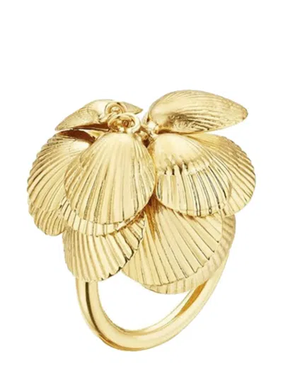 Cadar 18kt Yellow Gold Shell Cocktail Ring In 金色