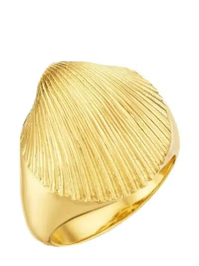 Cadar 18kt Yellow Gold Shell Signet Ring In 金色