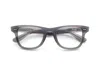 Caddis Progressive Glasses - Donkey / Classic / 1.00
