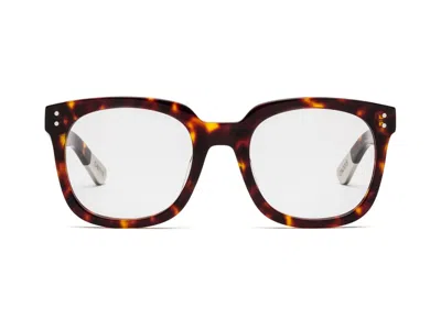Caddis Progressive Glasses In Brown