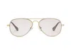 Caddis Progressive Glasses
