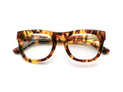 Caddis Progressive Glasses - Terrapin / Classic / 1.00 In Brown