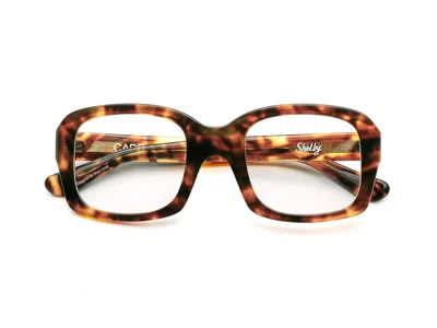 Caddis Progressive Glasses - Terrapin / Classic / 1.00 In Brown