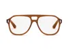 Caddis Reading Glasses