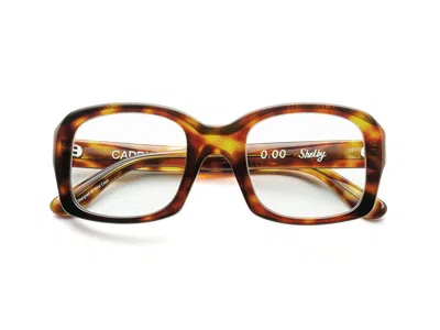 Caddis Reading Glasses - Fv Terrapin / Classic / 0.00