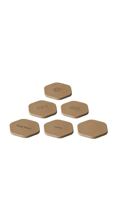 Cadence Set Of 6 Tiles In Brown