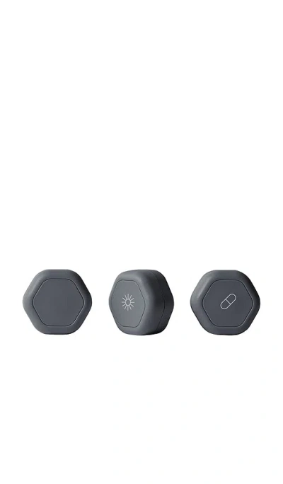 Cadence The Daily Essentials Small Trio In Transparent