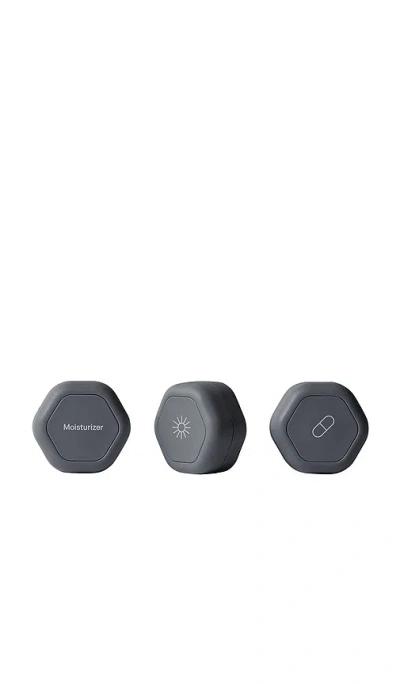 Cadence The Overnight Essentials In Transparent