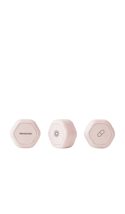 Cadence The Overnight Essentials In Transparent