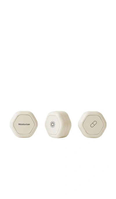 Cadence The Overnight Essentials In Transparent