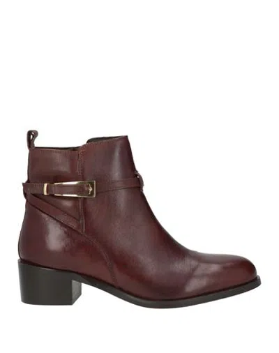 Cafènoir Woman Ankle Boots Chocolate Brown Size 9 Leather In Burgundy