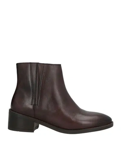 Cafènoir Woman Ankle Boots Dark Brown Size 7 Leather