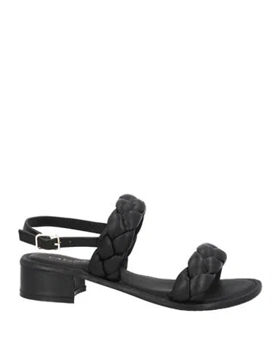 Cafènoir Woman Sandals Black Size 8 Soft Leather