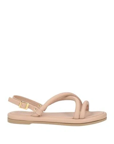 Cafènoir Woman Sandals Blush Size 5 Textile Fibers In Pink