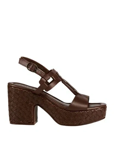 Cafènoir Woman Sandals Chocolate Brown Size 7 Leather