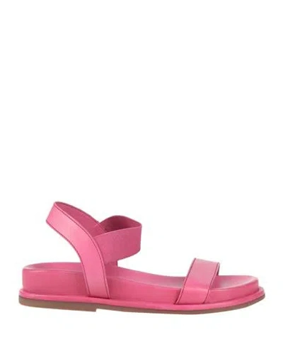 Cafènoir Woman Sandals Fuchsia Size 8 Leather In Pink