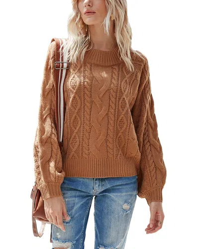 Caifeng Sweater In Brown