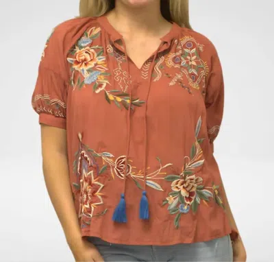 Caite & Kyla Izzy Blouse In Pink In Brown