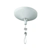 Cal Lighting Drop Track Canopy