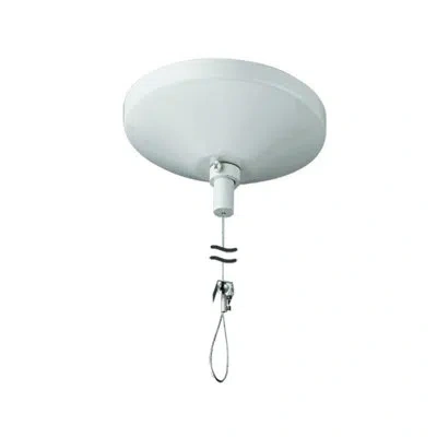 Cal Lighting Drop Track Canopy