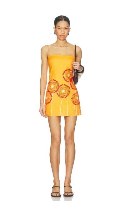 Cala De La Cruz Ancona Dress In Multi